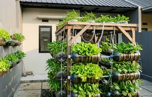 7 Ide Kebun Sayur dari Galon Bekas untuk Belakang Rumah Subsidi Ukuran 2x3 Meter yang Praktis
