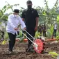 Wakil Presiden RI, KH Ma'ruf Amin saat kegiatan menanam jagung kedelai di Kabupaten Purwakarta, Senin, 28 Maret 2022.