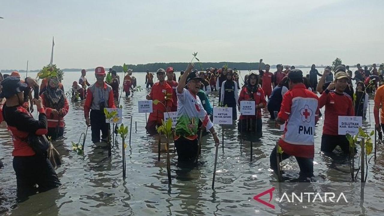 PMI Batang Sulap Kawasan Rob Jadi Objek Wisata Perikanan, Tingkatkan Kesejahteraan Warga