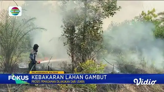 Simak Fokus Pagi (09/10) dengan beberapa topik pilihan di antaranya, Pilkades Diwarnai Kericuhan, Mobil Sport Mewah Tabrak Lima Kendaraan, Truk Terbakar di Tol Cipali, Presiden Terima Kedatangan SYL.