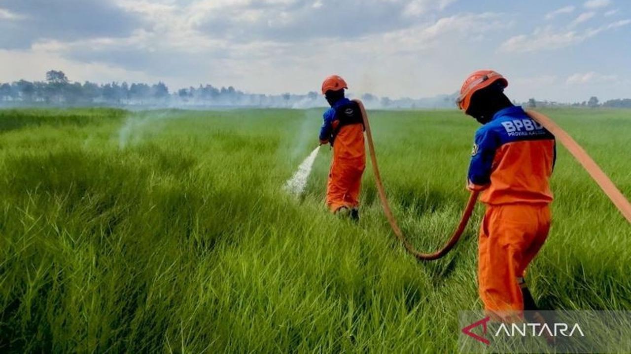 Fakta Unik: BMKG Prediksi Puncak Hujan November 2025, BPBD Kalsel Pertimbangkan Cabut Status Darurat Karhutla
