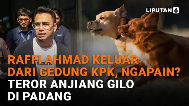Mulai dari Raffi Ahmad keluar dari gedung KPK hingga teror anjiang gilo di Padang, berikut sejumlah berita menarik News Flash Liputan6.com.