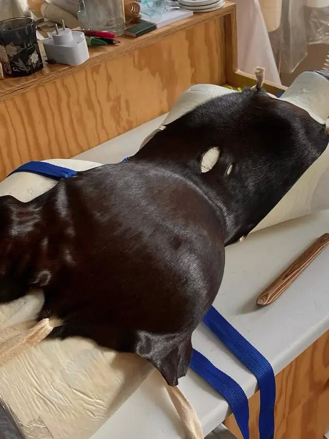 Jadi Womenpreneur Sukses, Gaya Elegan Hailey Bieber Pakai Gaun kulit Sapi di Pesta Rhode x Sephora