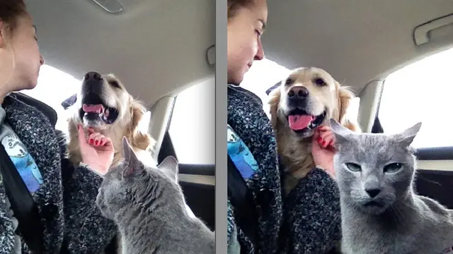 drama