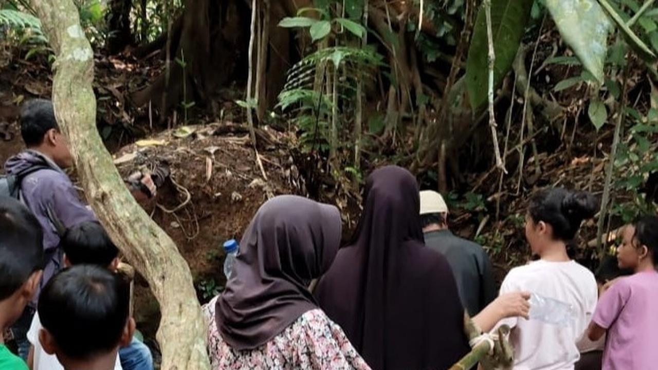 Heboh Akar Pohon Beringin Semburkan Air Bersih di Tangerang
