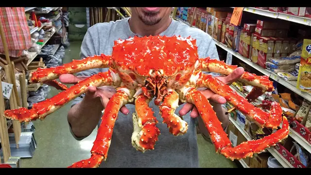 5 Hewan Laut Berwujud Aneh dengan Rasa Lezat