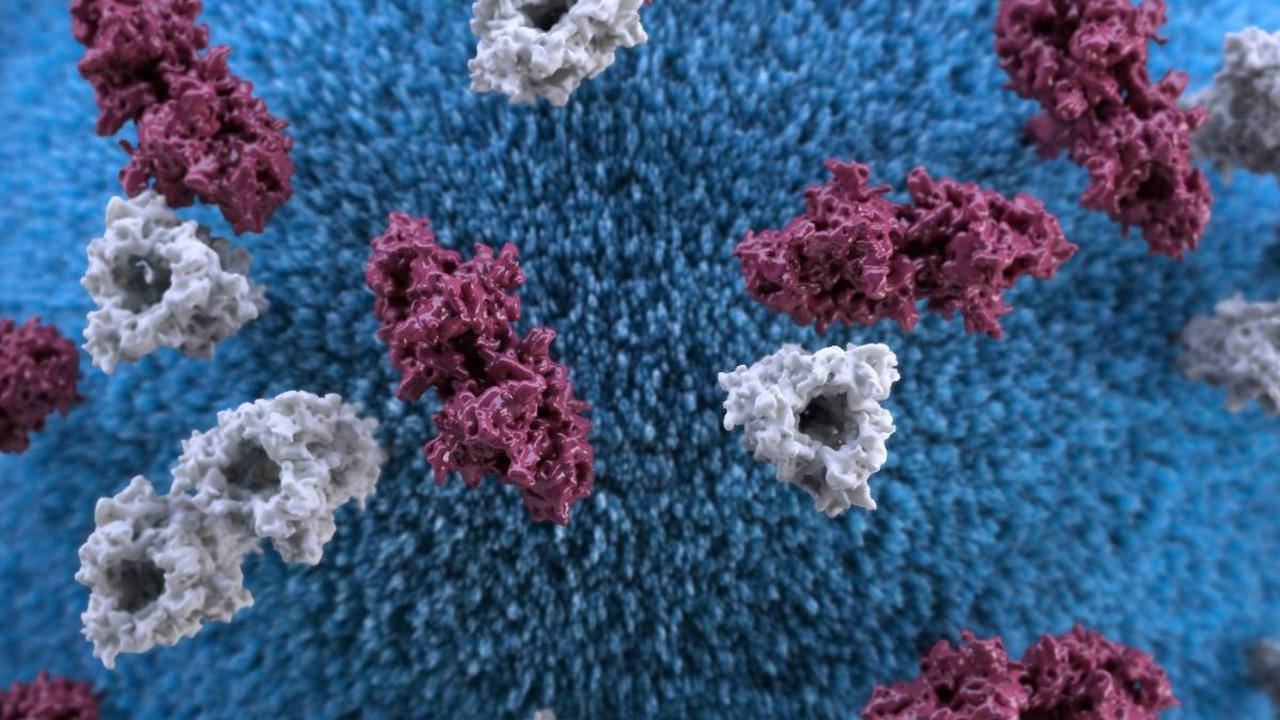 Penyebab Infeksi Helicobacter Pylori