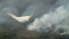 Kebakaran Hutan Kanada Makin Parah, Ribuan Warga Mengungsi