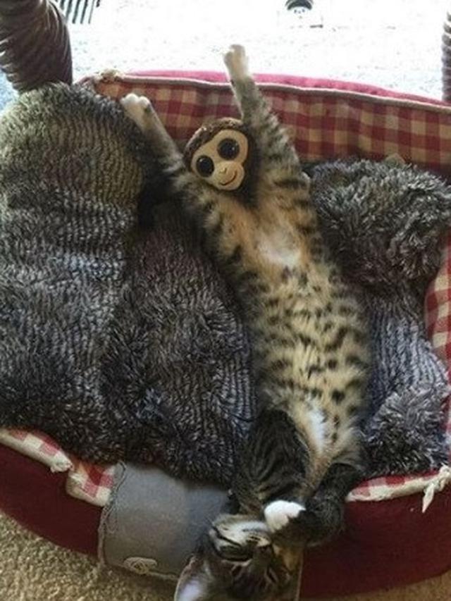 foto ini bisa menipu mata kita (foto: instagram/@ingin.tau_)