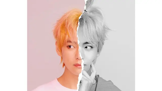 V BTS (Big Hit Entertainment via Soompi)