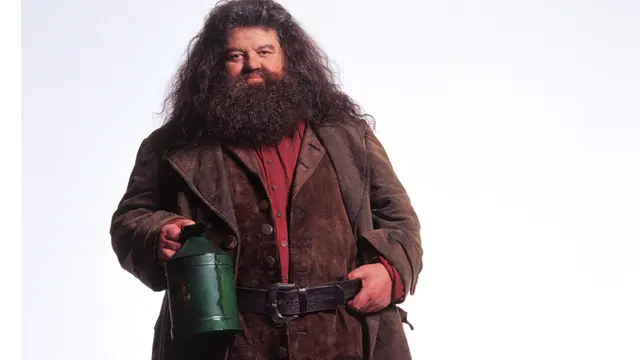 Rubeus Hagrid