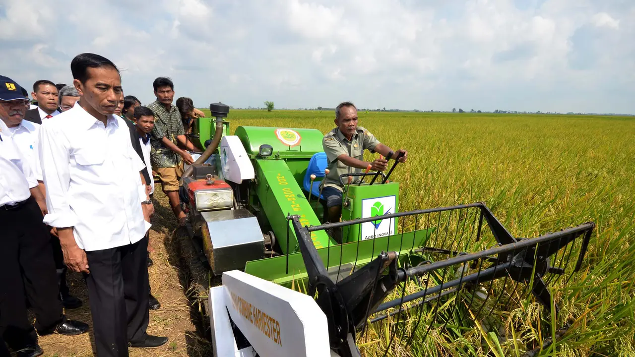 Jokowi Hadiri Panen Raya di Indramayu