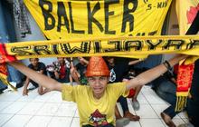Loyalitas suporter Sriwijaya FC rela menginap di Senayan