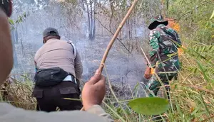 Belum Padam, Kebakaran di Taman Nasional Way Kambas Capai 673,4 Hektare