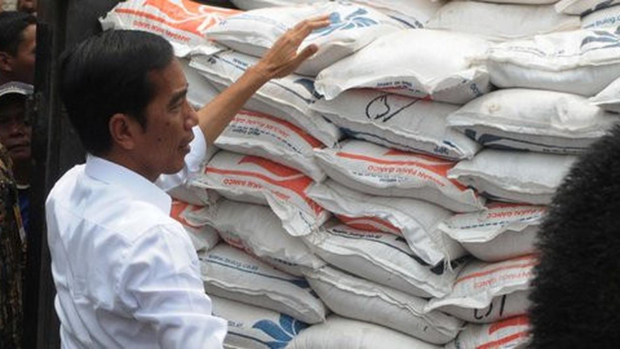 Keputusan impor beras Jokowi cuma solusi jangka pendek