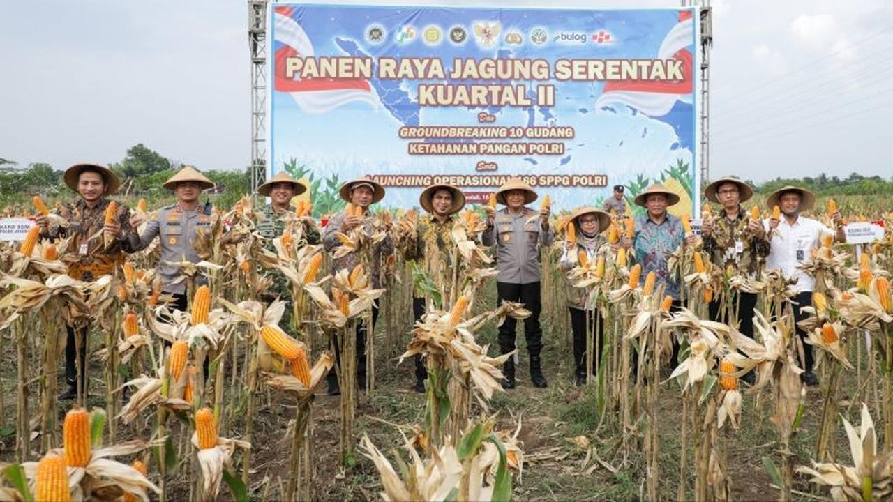 Produksi Padi Jateng Capai 4,16 Juta Ton GKG, Pemprov Optimis Lampaui Target Tahunan