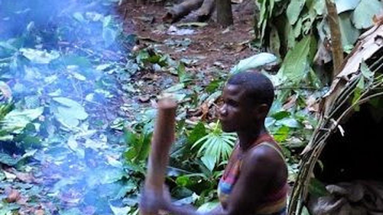 4. Manusia Jadi Salah Satu Penyebab Penurunan Populasi Genus Calotes<br>