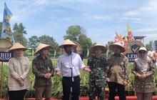 Fakta Mengejutkan Kebutuhan Benih! Sumsel Tuan Rumah Gebyar Perbenihan Nasional, Targetkan Kemandirian Benih Padi Sumsel 2029