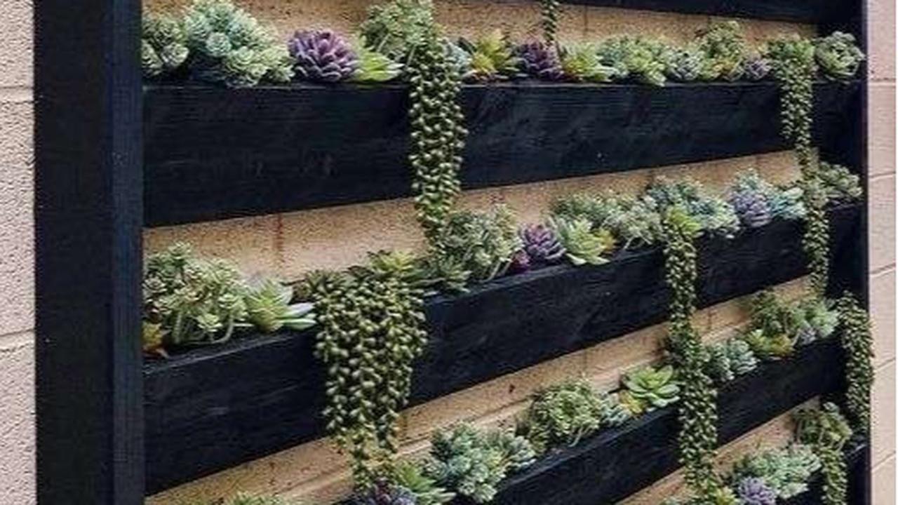 Desain Vertical Garden Minimalis