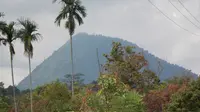 Gunung Tangkit Tebak. (Dok: Gunung Bagging&nbsp;https://www.gunungbagging.com/tebak/)