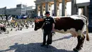 Seorang peternak membawa sapi saat aksi protes harga susu di depan gerbang Brandenburg, Berlin, Jerman, Senin (30/5).  Selain membawa sapi, para peternak itu juga memenuhi gerbang Brandenburg dengan ratusan sepatu. (REUTERS/Fabrizio Bensch)