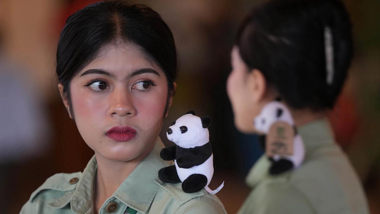 FOTO: Indonesia Catat Sejarah Kelahiran Anak Giant Panda