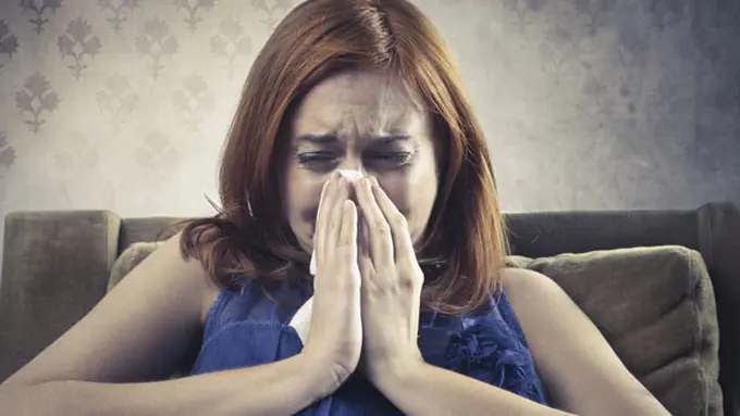 Foto: copyright shutterstock.com