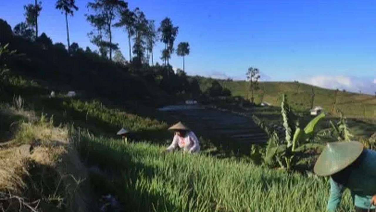 "Tugas kita sekarang adalah berkolaborasi dan menerapkan inovasi ini pada skala lebih besar, untuk menjaga sustainability perusahaan sekaligus wujud kontribusi bagi bangsa dan negara," pesan Panji. <br>