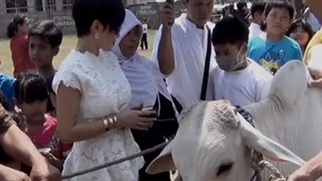 Yuni Shara rayakan Idul Adha dengan 9 ekor sapi