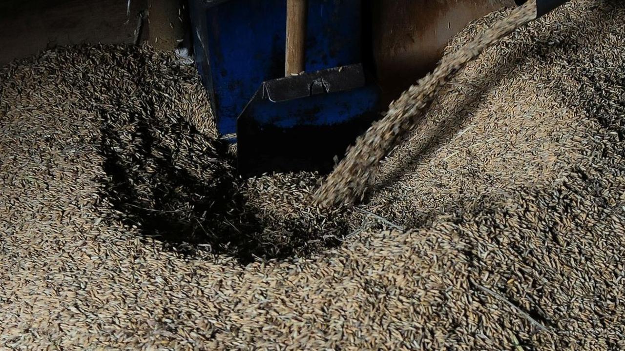Selain masalah harga ada kendala lain yang membuat harga gabah belum juga turun.