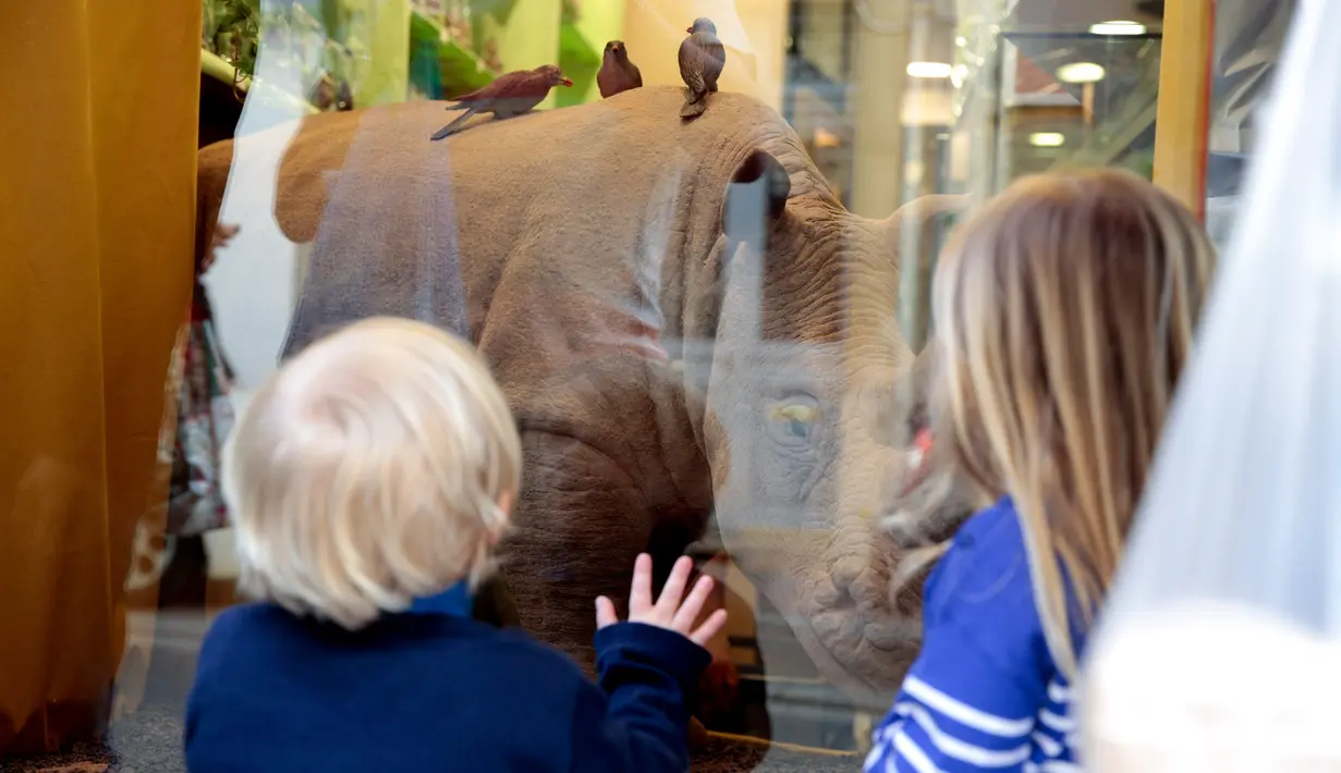 Dua orang anak memperhatikan cokelat berbentuk badak yang ditampilkan di toko cokelat di Nogent-sur-Marne, Prancis (8/4). Cokelat ini dipersembahkan untuk badak yang telah dibunuh di kebun binatang Thoiry. (AFP/Geoffroy Van Der Hasselt)
