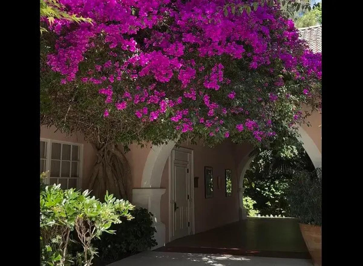 Kisah Hotel Terakhir yang Disinggahi Marilyn Monroe Sebelum Kematiannya, Jadi Tempat Persembunyian Para Bintang Hollywood