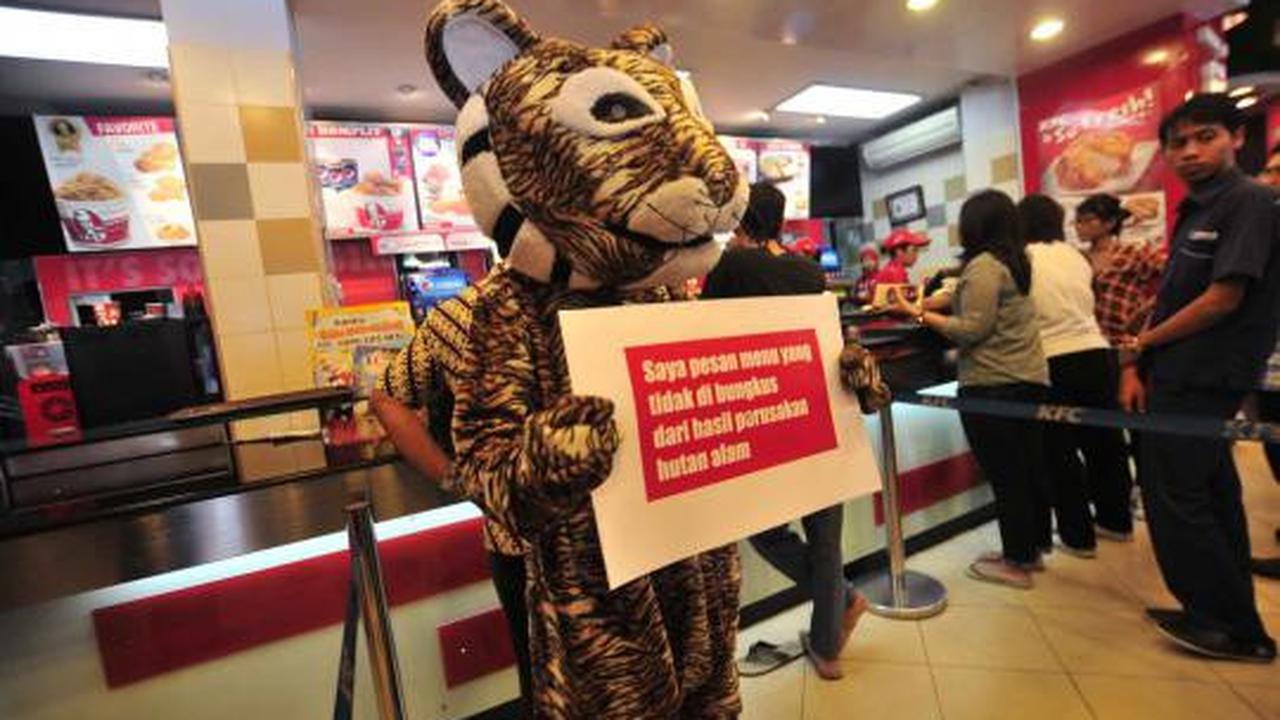 Aksi macan berunjuk rasa di restoran KFC