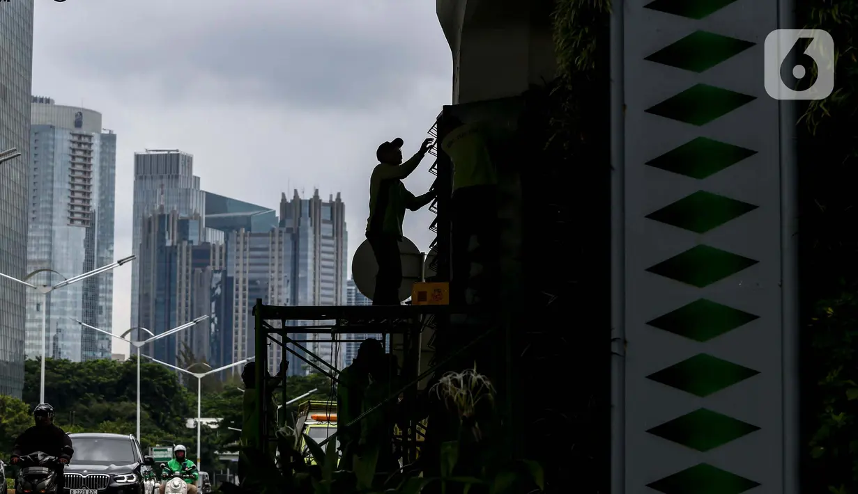 Pekerja dari Dinas Pertamanan dan Hutan Kota DKI Jakarta melakukan perbaikan pada rangka taman vertikal di kawasan Jalan Jenderal Sudirman, Jakarta, Senin (11/3/2024). (Liputan6.com/Angga Yuniar)