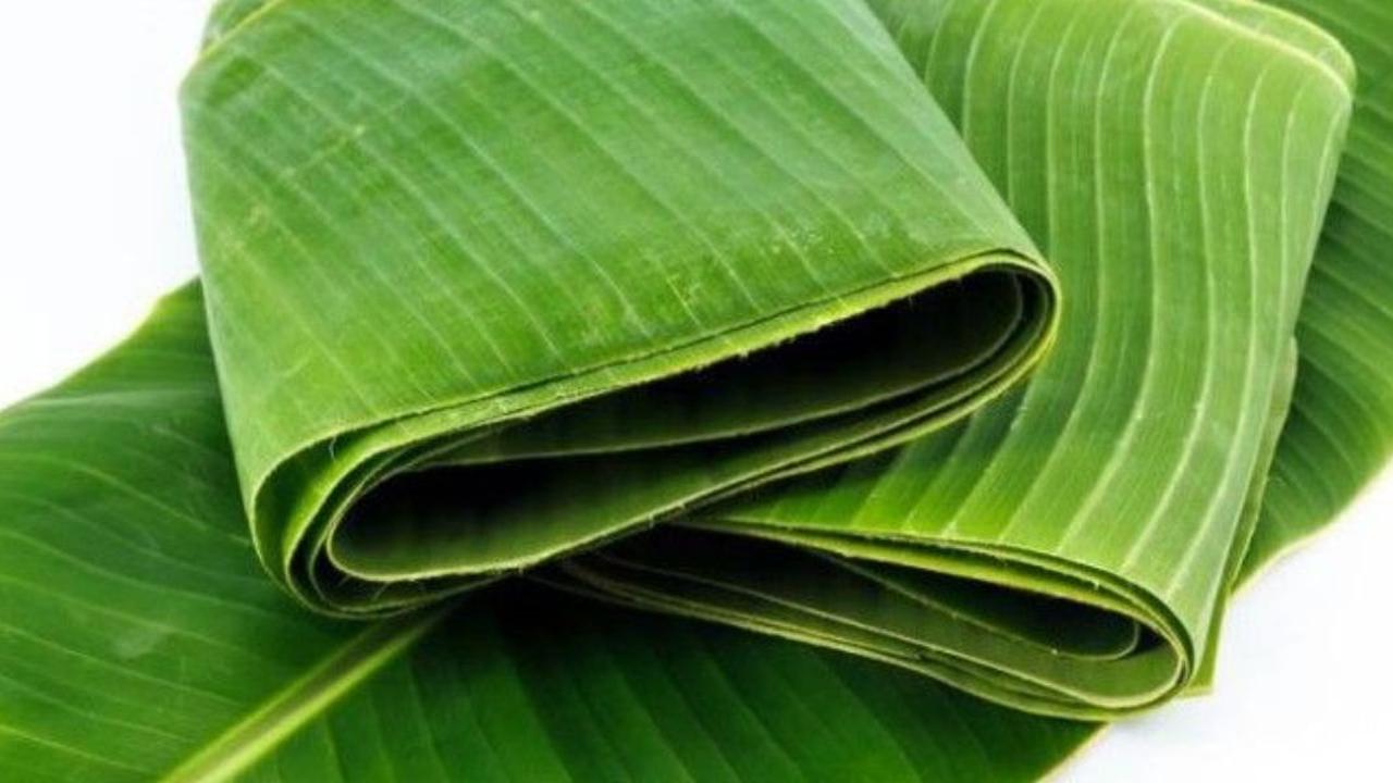 Cara Mudah Membuat Daun Pisang Lentur dan Tetap Hijau untuk Membungkus Makanan