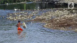 Seorang anak menjala ikan di area Bendung Katulampa, Kota Bogor, Jawa Barat, Senin (3/8/2020). Debit air sungai Ciliwung di Bendung Katulampa yang mengalami penyusutan sejak satu bulan terakhir dimanfaatkan anak-anak untuk bermain air dan layangan. (Liputan6.com/Helmi Fithriansyah)