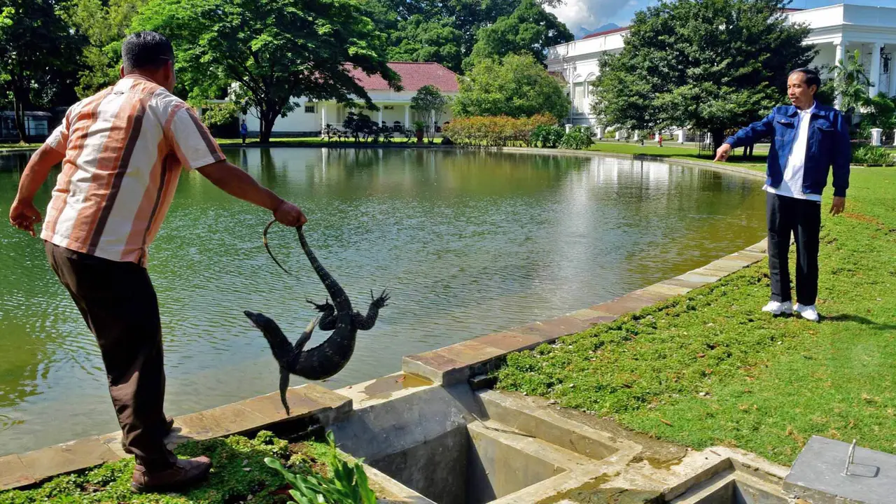 20160103-Jokowi Lepas Sejumlah Satwa di Kompleks Istana Bogor