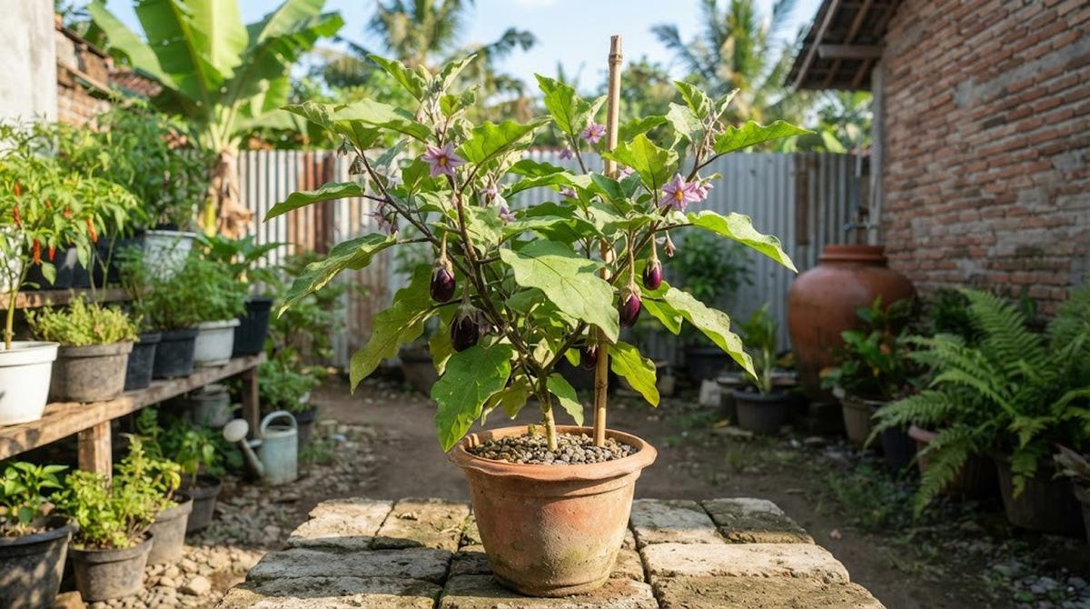 Pilihan Tanaman Sayur yang Tidak Membutuhkan Pot Besar