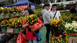 Warga Hong Kong berburu jeruk Mandarin untuk menyambut Tahun Baru Imlek di Victoria Park, Senin (4/2). (AP Photo/Vincent Yu)