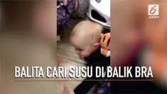 Tingkah laku balita mencari susu di balik bra.