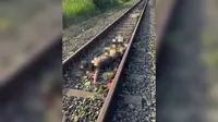 Nestapa Penjual Sayur Keliling di Sukabumi, Tewas Ditabrak Kereta