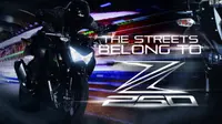 12 Kesan Menggiurkan New Kawasaki Z250