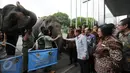 Wakil Presiden Jusuf Kalla (tengah) mengusap belalai seekor gajah jelang membuka Pekan Lingkungan Hidup Kehutanan 2016 di Jakarta, Kamis (9/6/2016). Pekan Lingkungan Hidup Kehutanan 2016 juga dimeriahkan dengan mini zoo. (Liputan6.com/Helmi Fithriansyah)