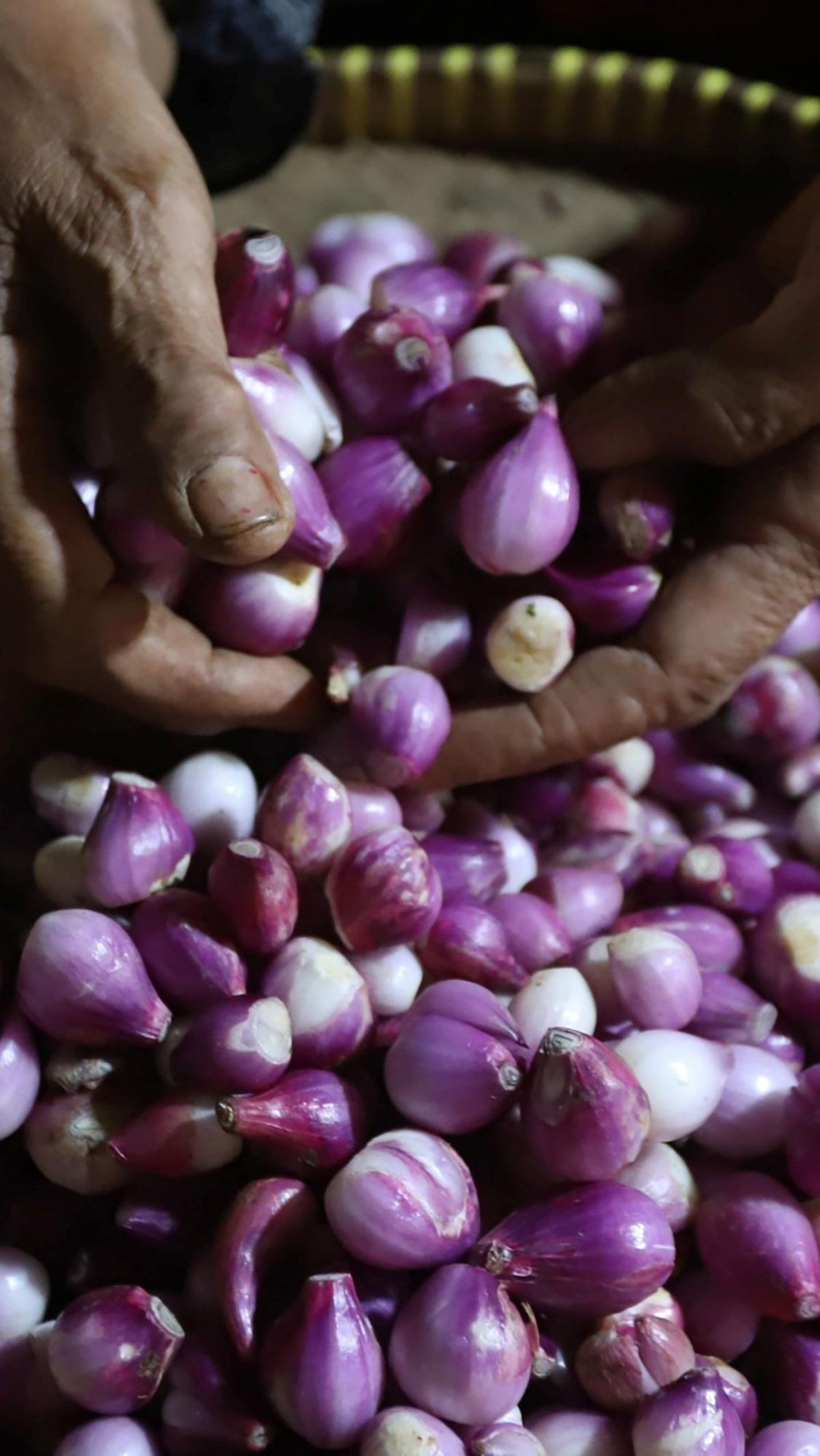 Pedagang menata bawang merah tengah harganya yang kembali turun di Pasar Kebayoran Lama, Jakarta, Selasa (30/04/2024). Foto: merdeka.com / Arie Basuki