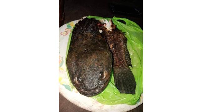Ikan Goreng Ini Bentuknya Seram Abis, Bikin Nafsu Makan Hilang