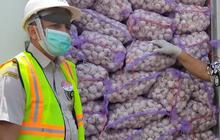 Mulai 2024, Kementan Batasi Impor Bawang Putih Maksimal 650 Ton per Importir