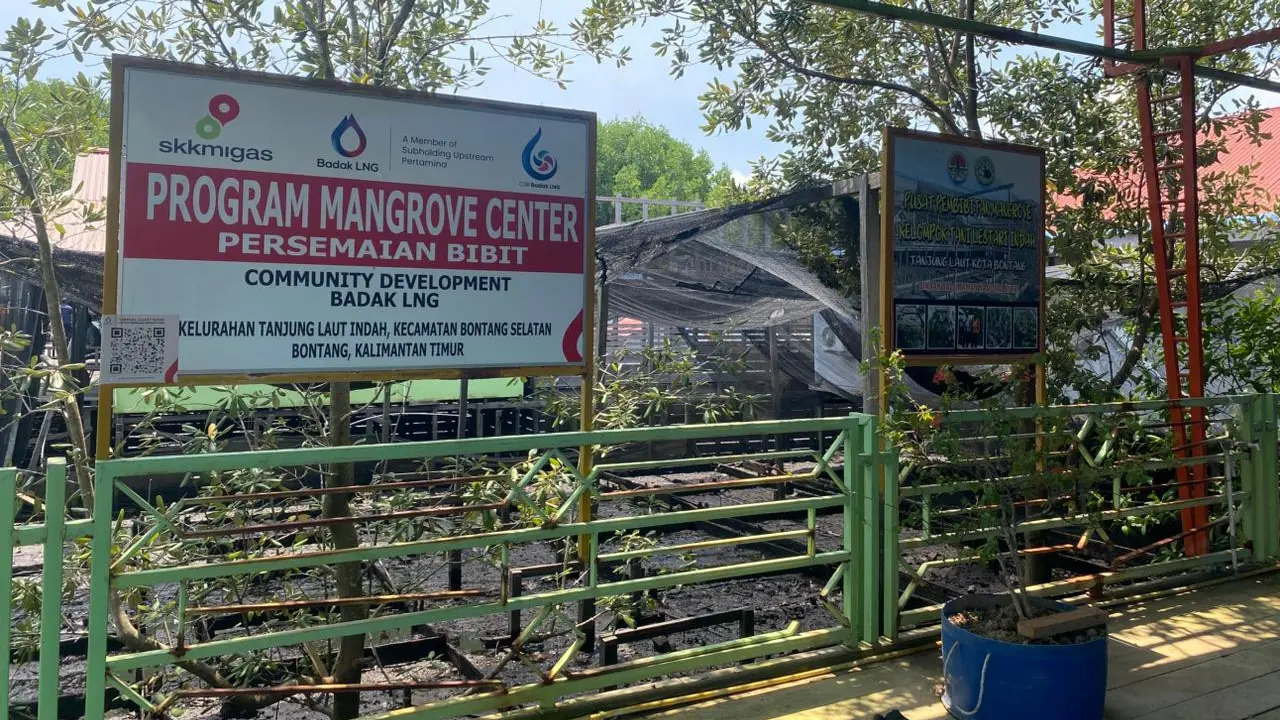 Cerita Ali yang kini menjadi CSR PT Badak NGL atau Badak LNG mendirikan pusat konservasi dan wisata mangrove di Bontang, Kalimantan Timur.