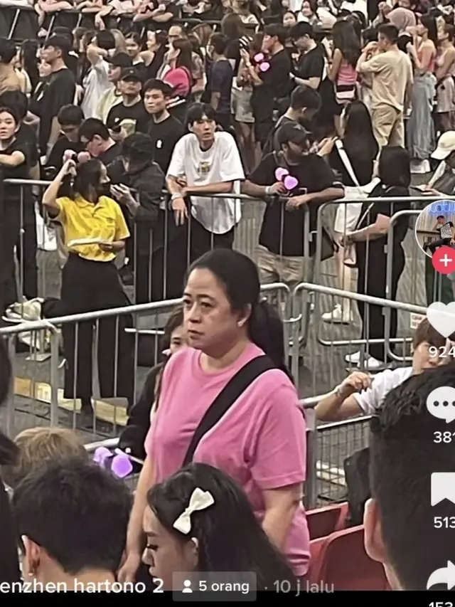 Wanita Mirip Puan Maharani