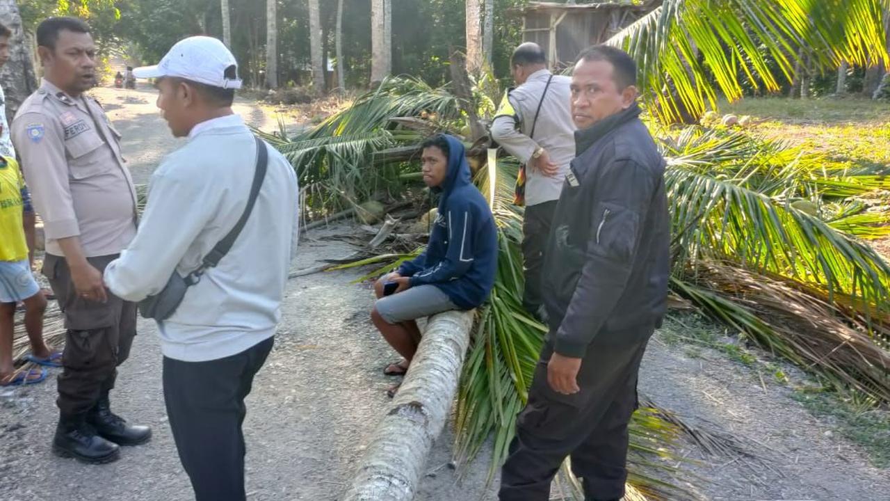 Seorang siswa SMA di Kecamatan Amarasi, Kabupaten Kupang, Nusa Tenggara Timur (NTT) tewas tertimpa pohon kelapa. Peristiwa ini terjadi pada Senin(11/9) kemarin di depan rumah warga lainnya.<br>