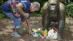 Pengunjung melihat kartu simpati di dekat patung gorila di Kebun Binatang Cincinnati, Ohio, AS, Selasa (29/5). Akhir Mei 2016, petugas kebun binatang Cincinnati terpaksa menembak seekor gorila bernama Harambe. (AP Photo)